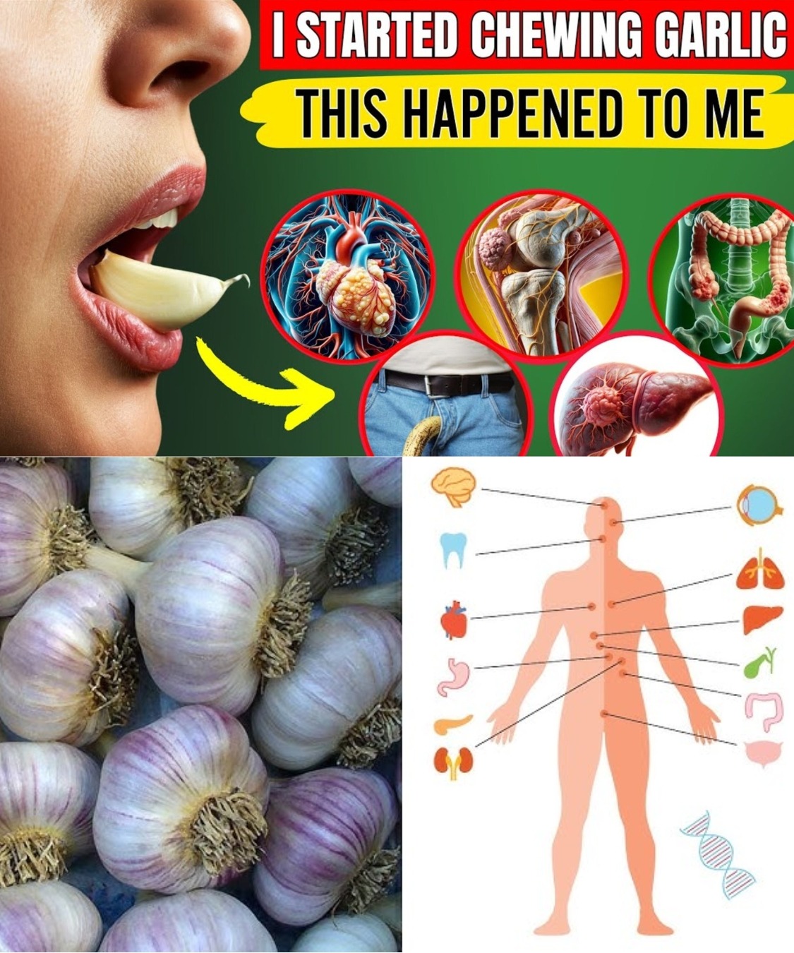 Unlock the Power of Garlic: Chew Two Cloves Daily to Say Goodbye to Health Problems