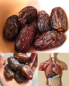 The Healthiest Fruit on Earth: What Happens to Your Body If You Eat Just 3 Dates a Day