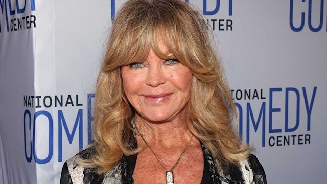 HT1. Goldie Hawn and Kurt Russell Address Safety Concerns in Los Angeles s2