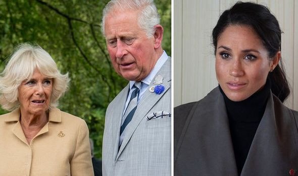 RF. Meghan Markle and Prince Harry Prioritize Mental Health as Royals Emphasize Family Reconnection