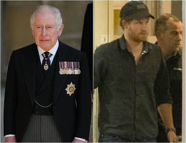 RF. Prince Harry Continues Advocacy Work as King Charles III Emphasizes Public Service Amid Personal Health Journey