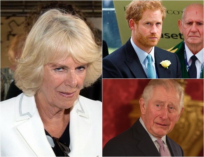 RF. Prince Harry and Paternity Rumors: A Closer Look at Fact, Fiction, and Royal Family Narratives