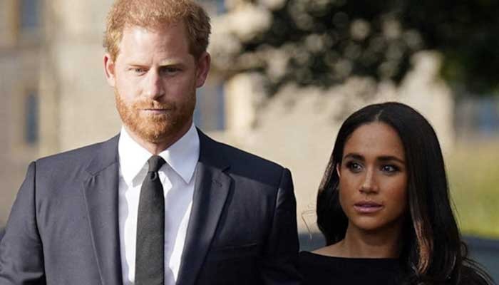 RF. Prince William’s Heartfelt Remarks About Lilibet Diana Spark National Reflection on Family and Heritage
