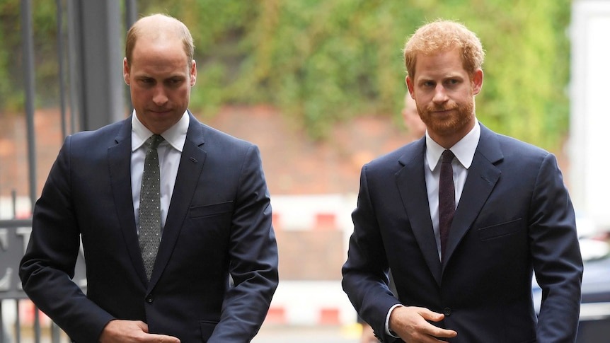 RF. 30 MINUTES AGO! Prince William Summ0ns Harry Back in the Middle of the Night After Kensington Palace Announces