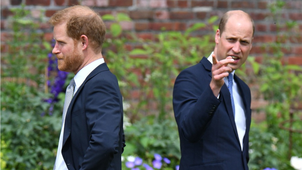 RF. Prince William and Prince Harry Honor Princess Diana’s Legacy: A Commitment to Truth and Reconciliation