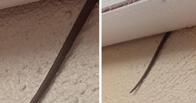 HT3. Online user finds creepy object hanging from ceiling