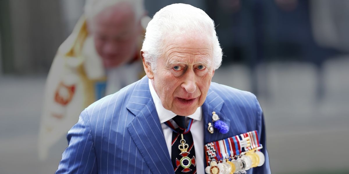 RF. King Charles’s Nervous Questions During the 80th Anniversary Commemoration of VE Day Revealed by a Lipreader