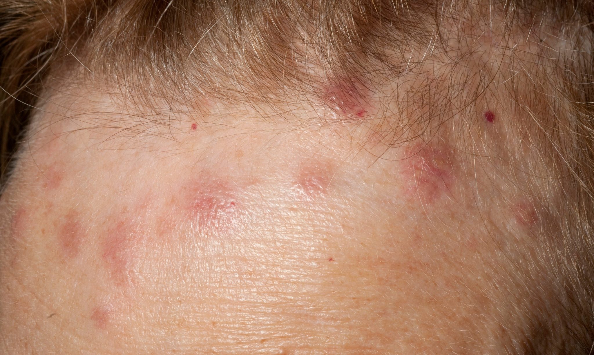 HT16. These are the signs that it is cre…See more