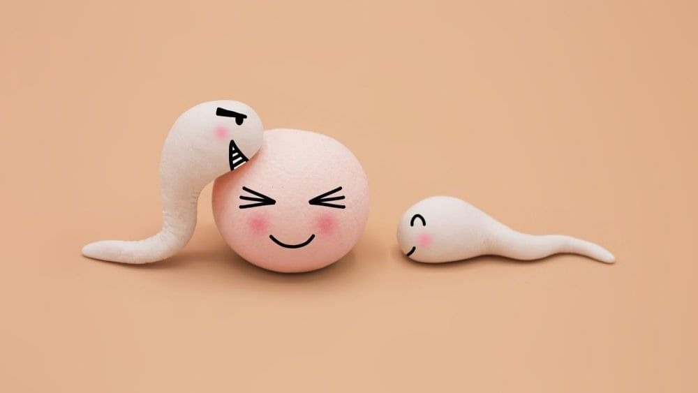 HT1. Understanding Male Reproductive Health: Composition, Safety, and Well-Being