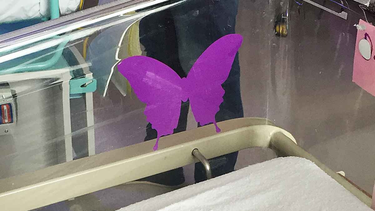 HT15. Purple butterfly sticker near newborns – here’s what it means