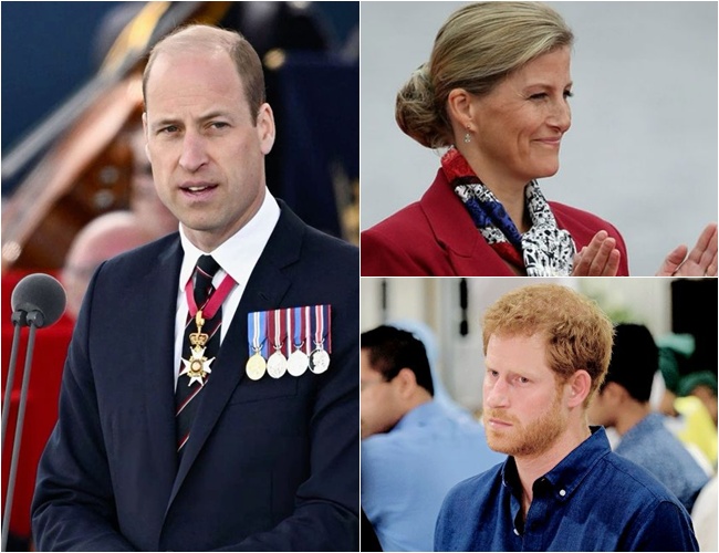 RF. William Shocks Camilla with Historic Decision to Transfer Her DUTlES to Sophie at royal Summit
