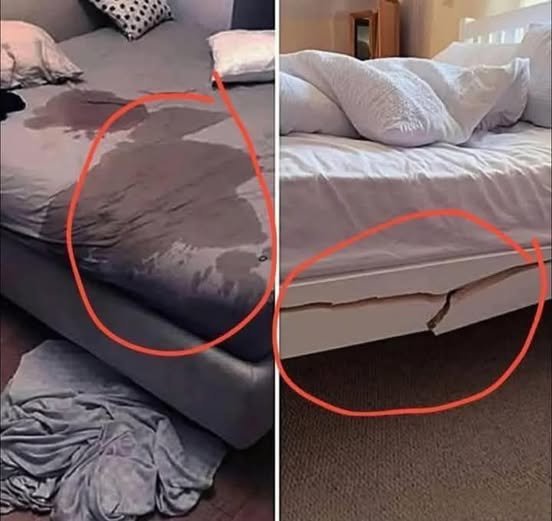 HT7. “Have You Ever Got a Bad Review from a B&B – and What Was It For?” Here’s What Hosts (and Guests) Can Learn