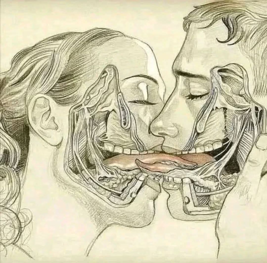 HT14. The Power of the Tongue and What Happens When We Kiss with Our Tongues