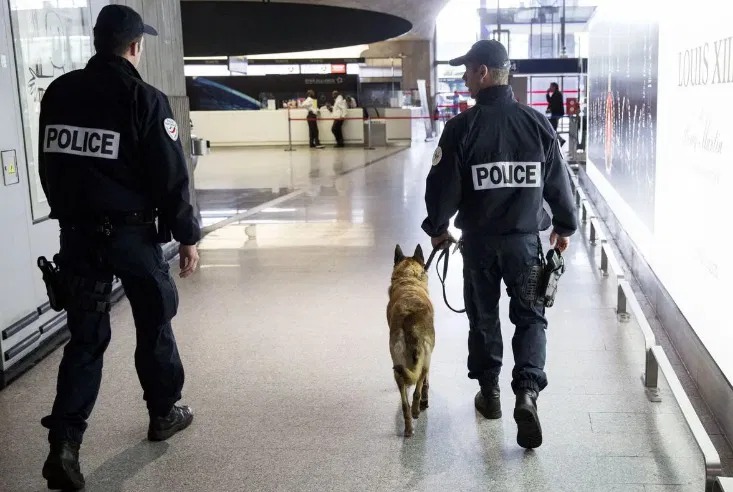 HT15. The police dog, seeing this bag at the airport, began to whine and look at the border guard, attracting his attention