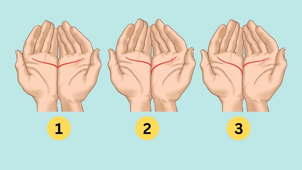 HT10. This Is What Your Palm Lines Say About You