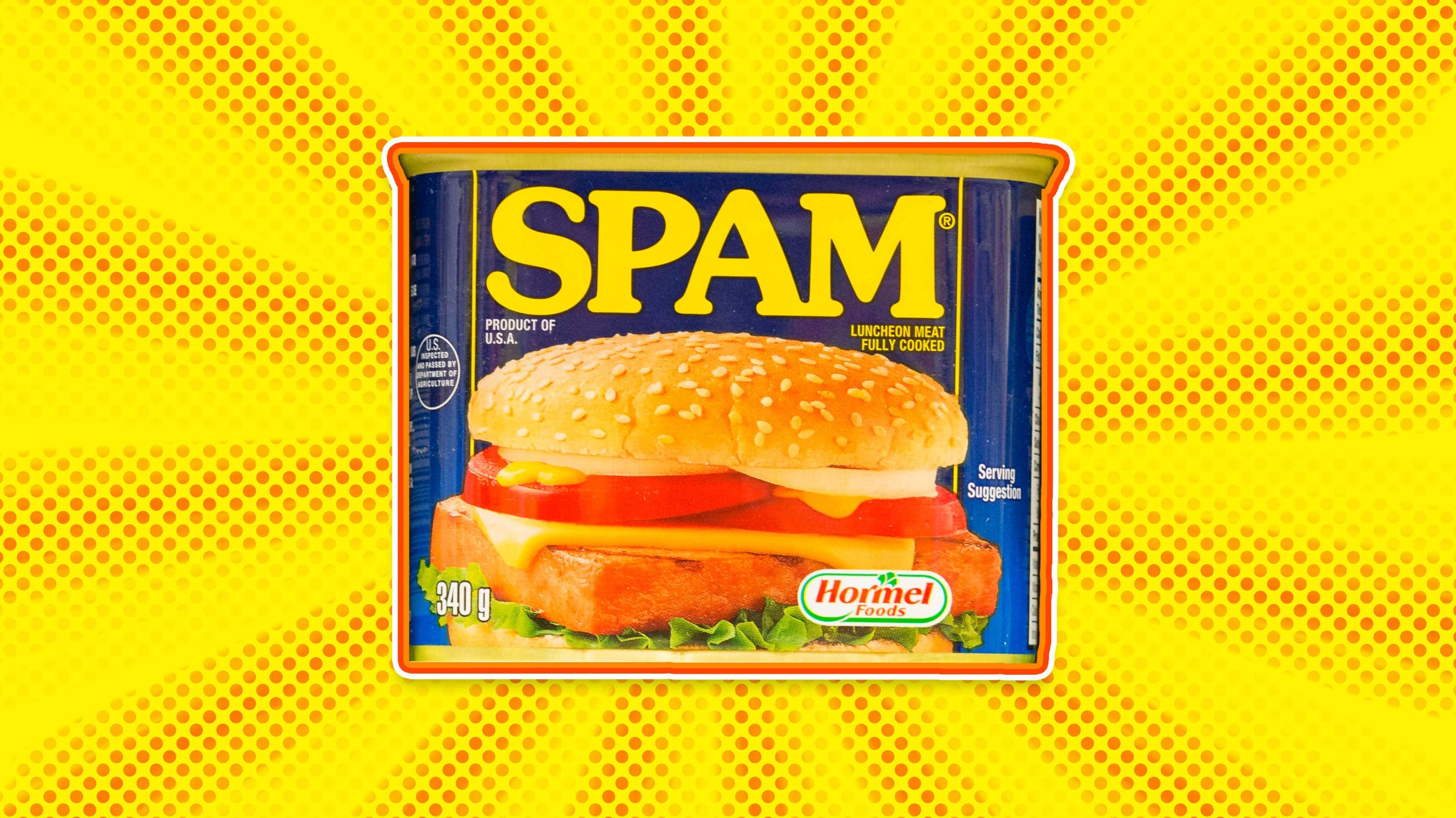 HT7. What Is SPAM and What Does SPAM Stand For?