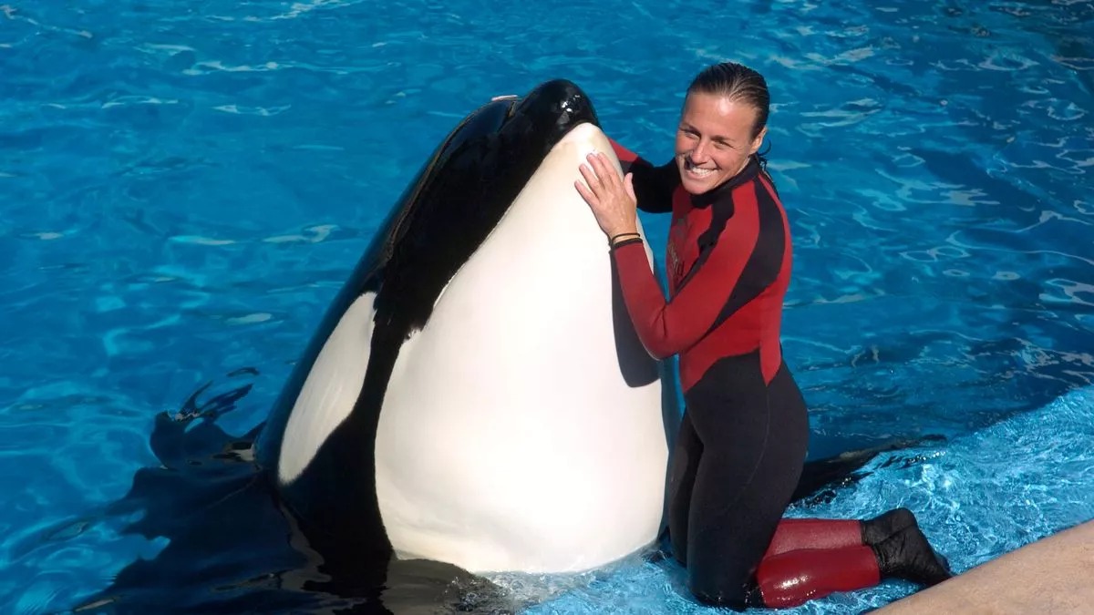 HT16. SeaWorld H0rr0r Orca Attacks and K!lls 40-Year-Old Trainer During Live Performance