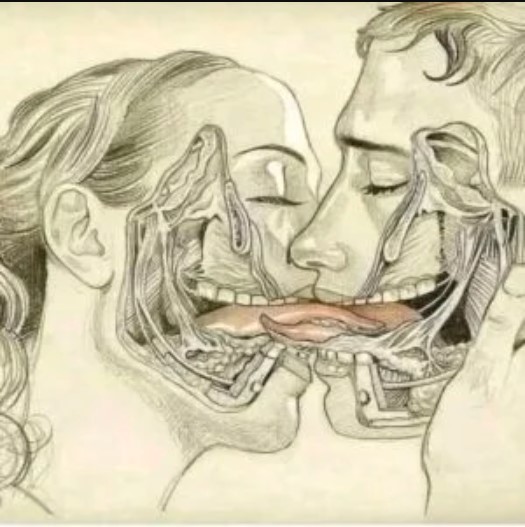 HT10. The Power of the Tongue and What Happens When We Kiss with
