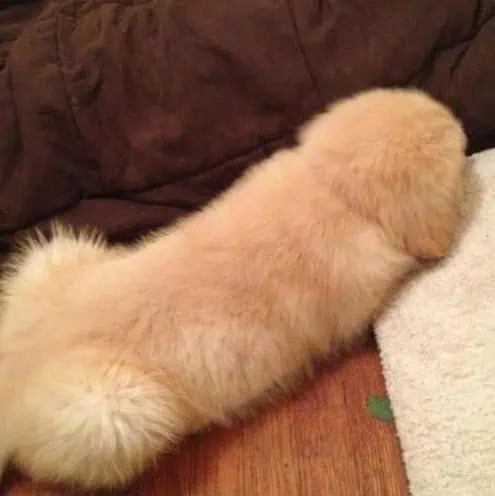 ST1. 10 PHOTOS THAT PROVE YOU HAVE A D*RTY MIND