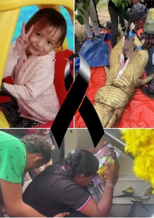 HT14. 5-year-old girl di’es after being eaten by crocodile in front of her parents…See more