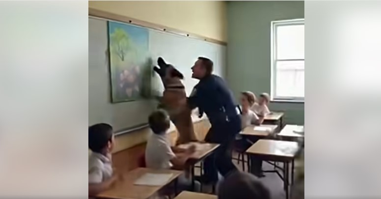 HT14. K9 Dog Rips School Painting – What He Uncovered Behind It Changed Everything Forever. Watch below