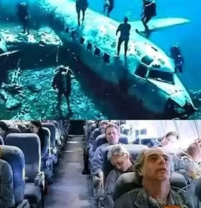 HT7. They find missing plane after 40 years with over 92 pa…see more