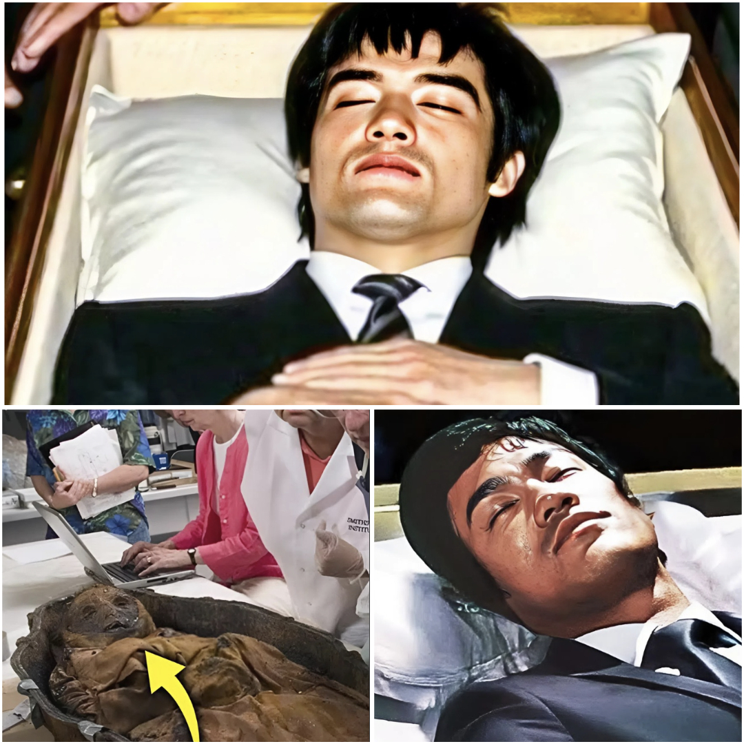 HT14. BREAKING: Bruce Lee’s Tomb Opened After 52 Years, Revealing a Shocking Discovery That Stunned the World