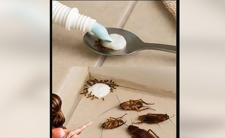 HT7. Say Farewell to Pests the Natural Way — No Chemicals Needed