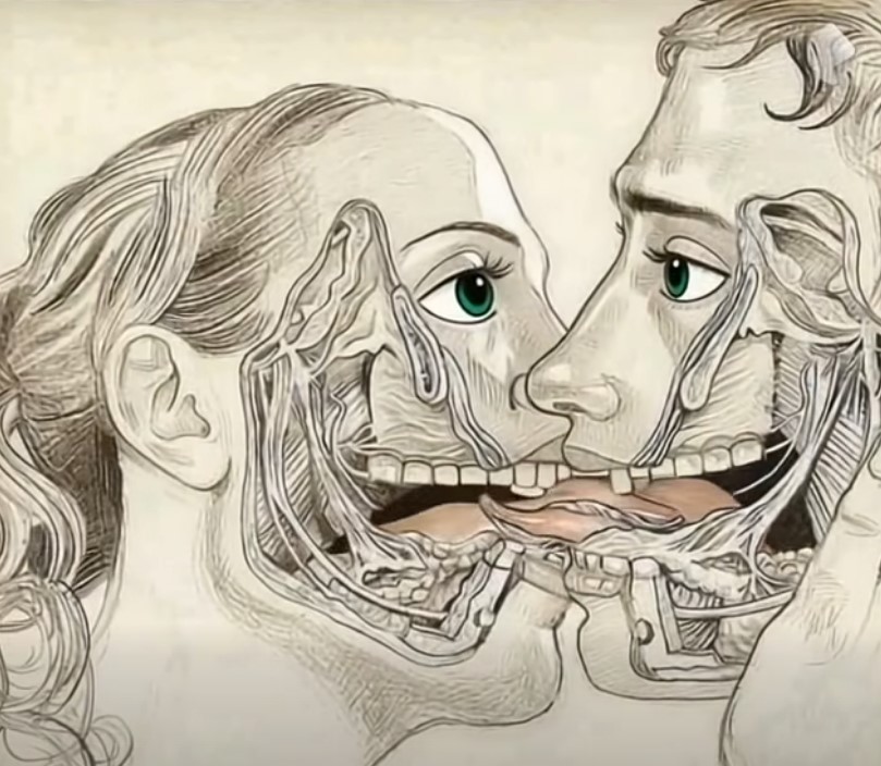 HT15. If when you make l0ve, your partner DOESN’T KISS YOU it’s because… See more