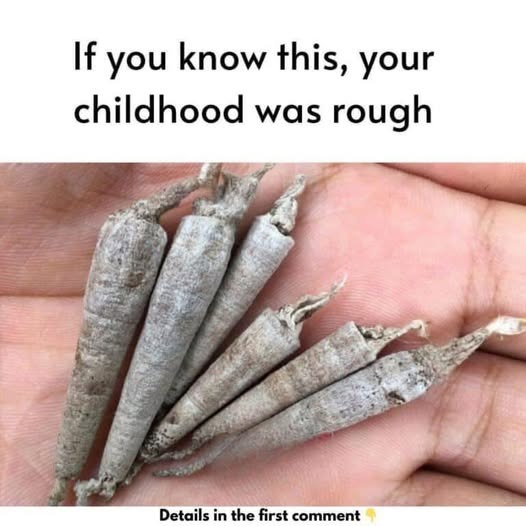 HT6. If You Know This, Your Childhood Was Rough