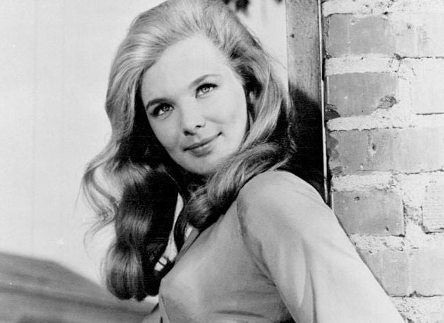 HT14. At 82, She’s Still Captivating — You’ll Want to Sit Down Before Seeing Her Amazing Transformation