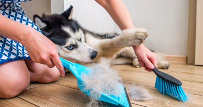 HT6. 8 Subtle Signs That a Home Isn’t as Clean as It Looks