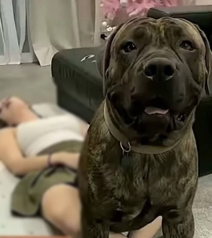 HT6. J0ven was hospitalized after being pen*trat… See more