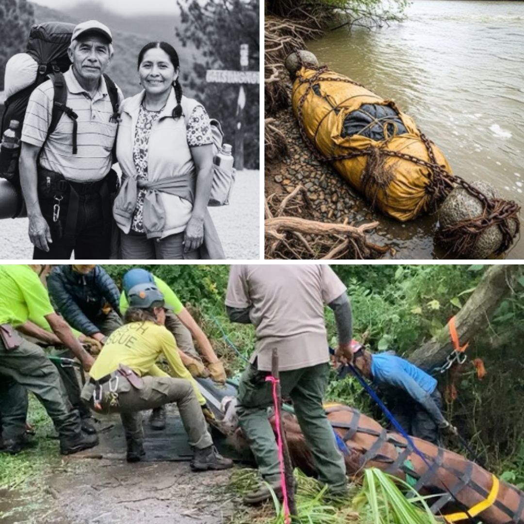HT7. The Tampaón Secret: What the Flood Revealed Beneath the Roots