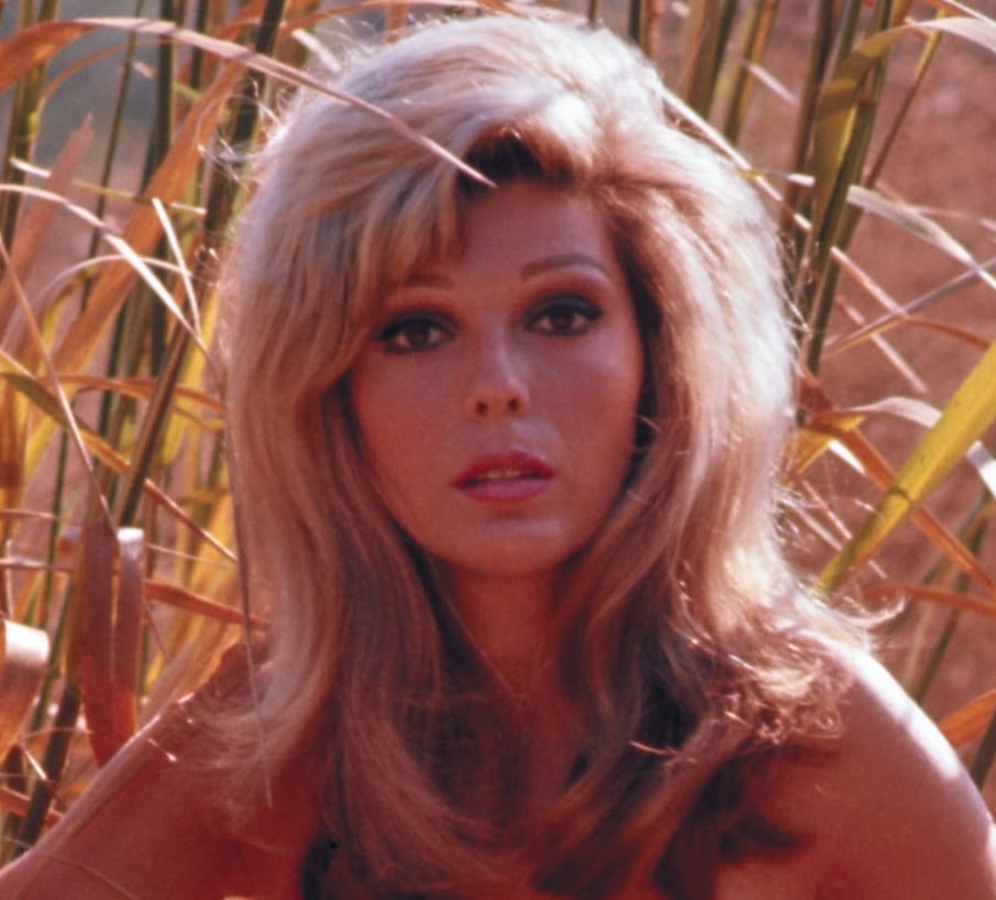 HT6. Nancy Sinatra is now 85 – try not to smile when you see her now, you will be surprised