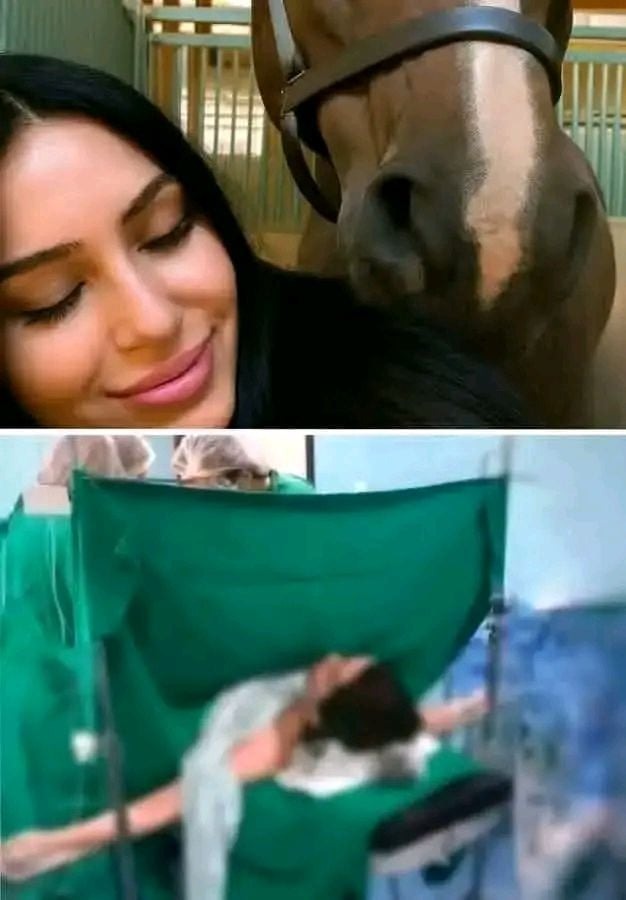 HT14. Young woman has been hospitalized after being pen… See more