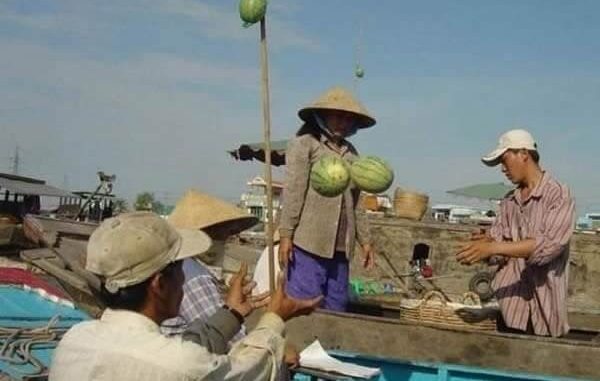 ST14. 29 Innocent Photos That Show How Optical Illusions Can Trick Your Brain