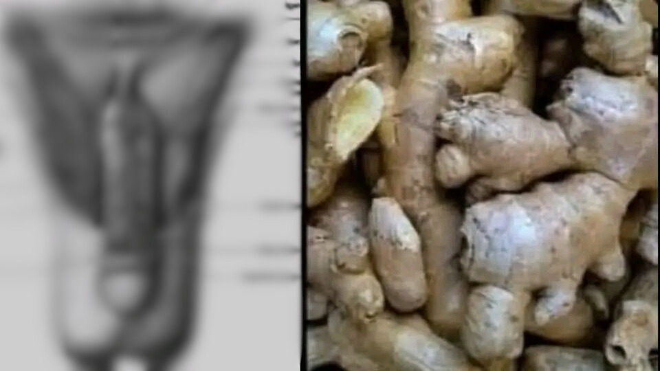 HT14. 17 Natural Foods That Support Energy, Vitality, and Overall Wellness