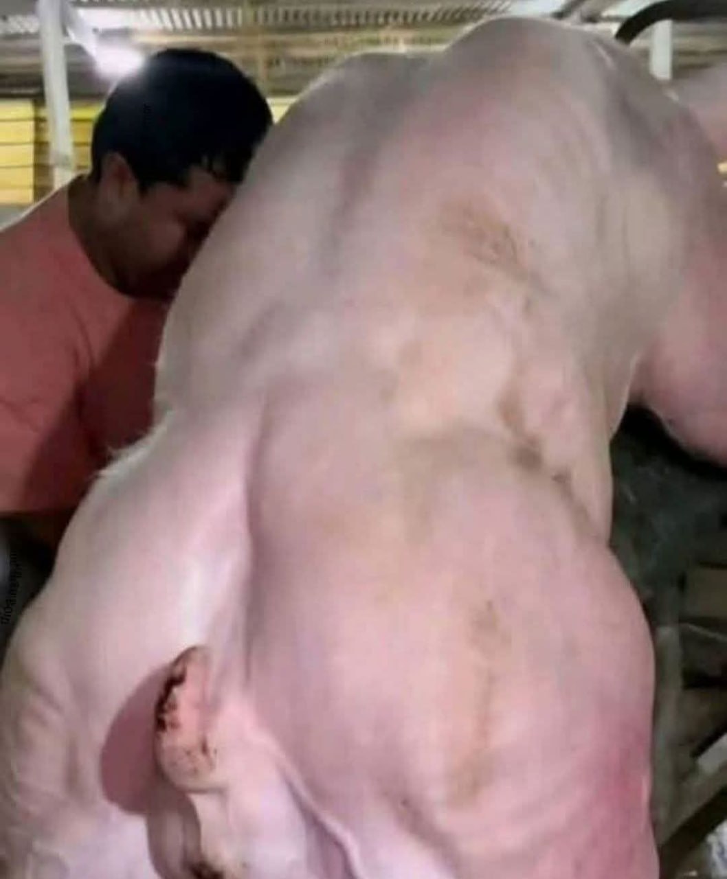 HT14. Young man hospitalized after being penitentiated…See more