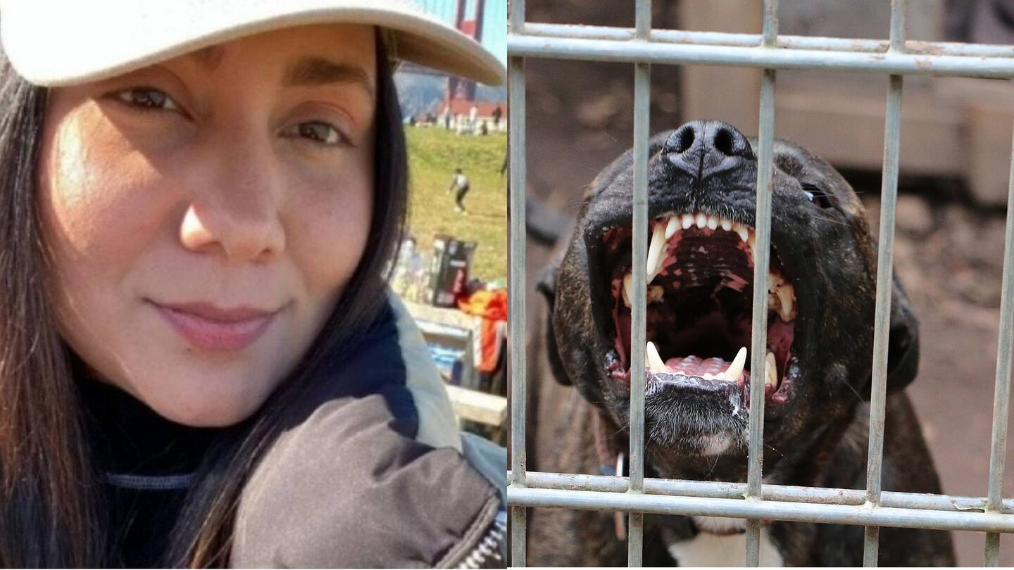 HT1. The girl who was ingr3sed for being a pen…See more