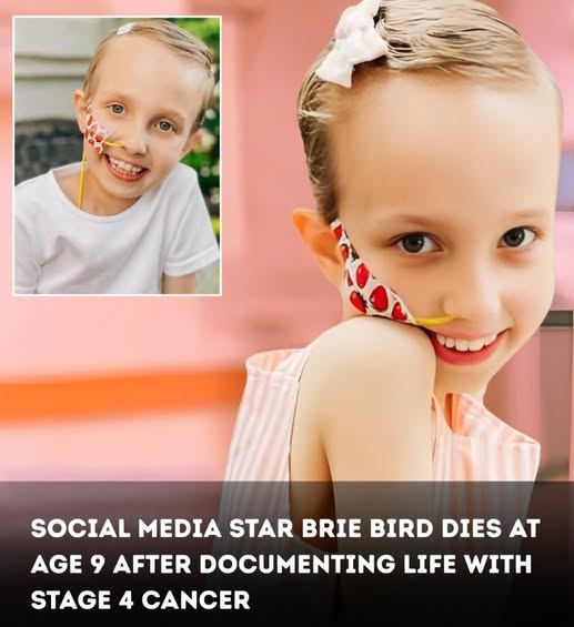 HT7. Social Media Star Brie Bird Passed Away at Age 9 After Documenting Life with Stage 4 Cancer