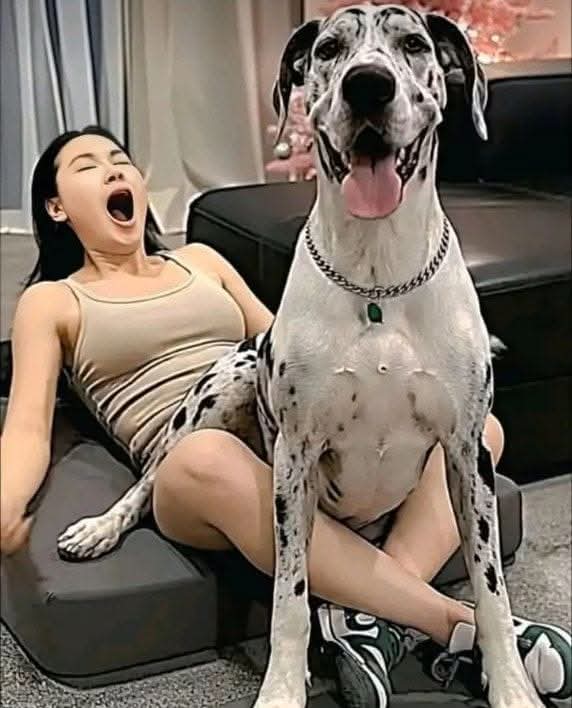 HT1. Young woman hospitalized after being penet… see more