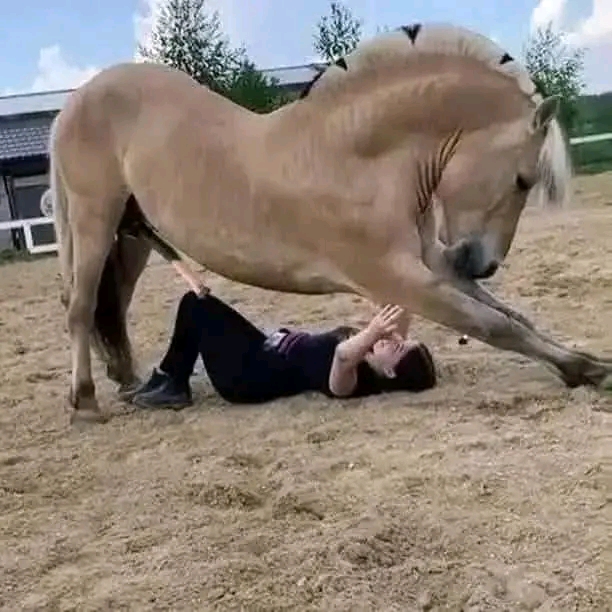 HT1. Girl was hospitalized for…See more