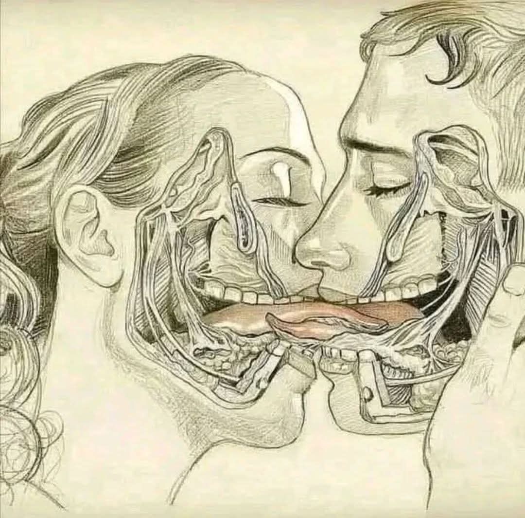 HT10. WHAT HAPPENS WHEN WE TONGUE KISS…See more