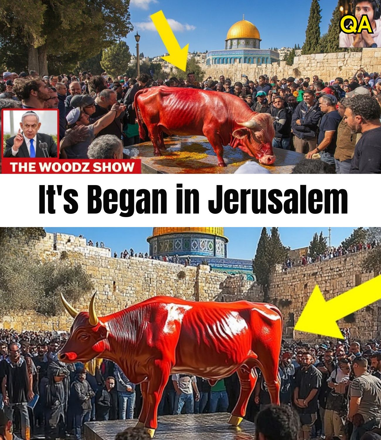 HT6. Red Heifers Sacrifice Begins & Third Temple Construction Starts in 2026!