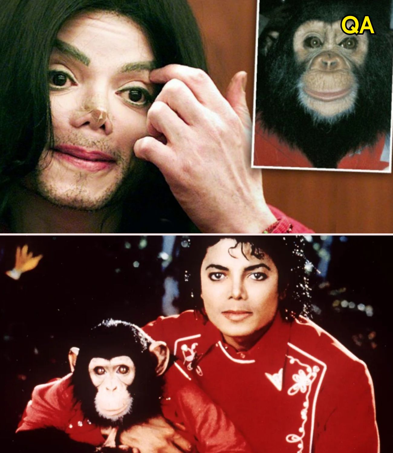 HT6. I never imagined he’d turn on me like that