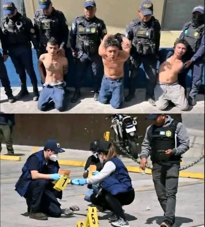 HT1. Breaking News: The most dangerous criminals have been captured…