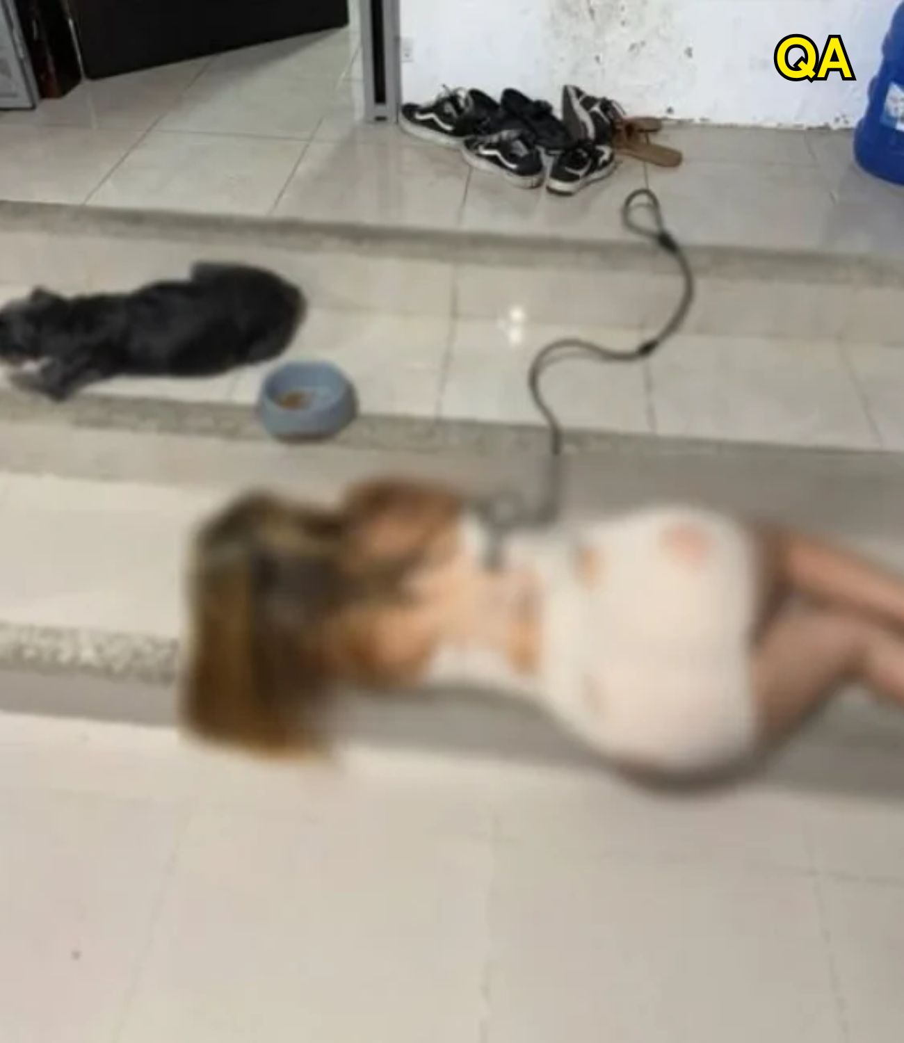 HT10. They find the daughter of…