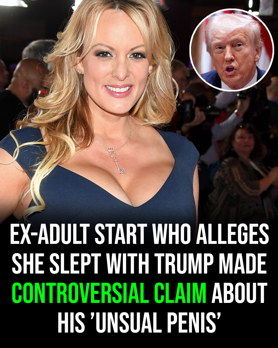 HT10. Ex-adult star who says she slept with Trump made one surprising claim about his manhood