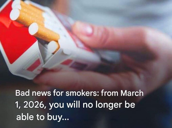 HT6. Cigarette Prices Explained: Taxes, Margins, and Price Changes